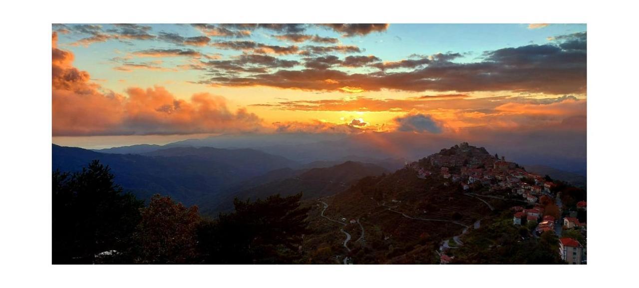 B&B Le Camelie Del Bosco Baiardo Dış mekan fotoğraf