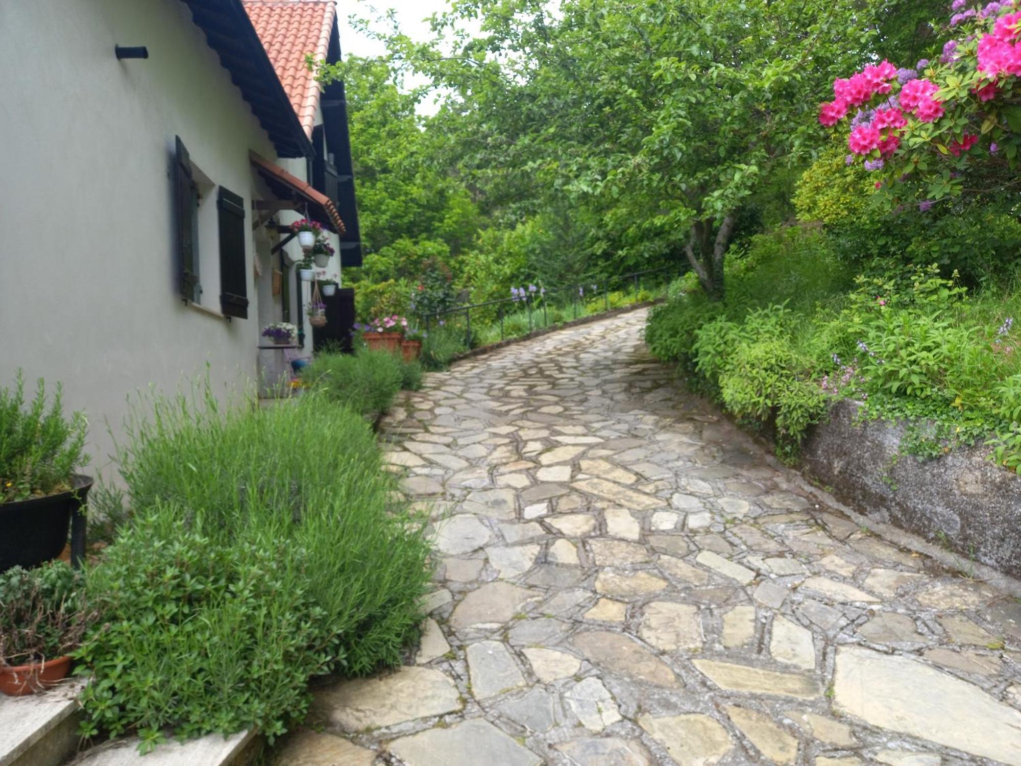 B&B Le Camelie Del Bosco Baiardo Dış mekan fotoğraf
