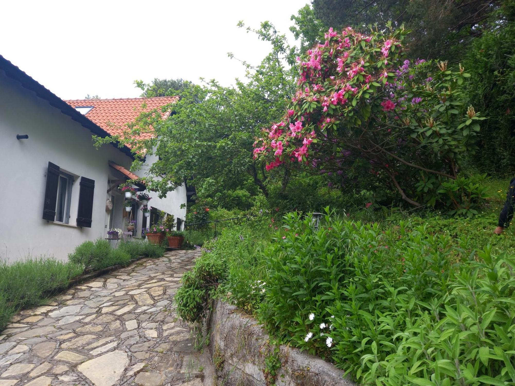 B&B Le Camelie Del Bosco Baiardo Dış mekan fotoğraf