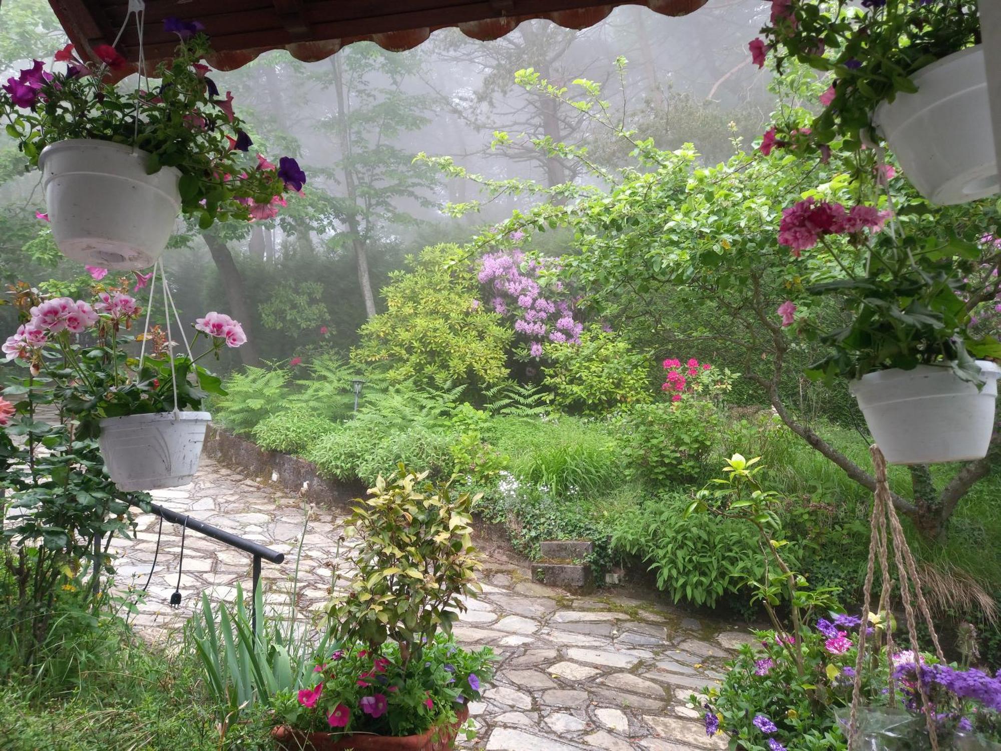 B&B Le Camelie Del Bosco Baiardo Dış mekan fotoğraf