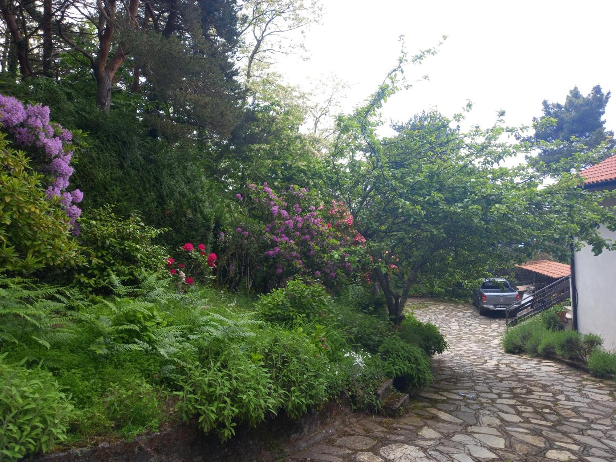 B&B Le Camelie Del Bosco Baiardo Dış mekan fotoğraf