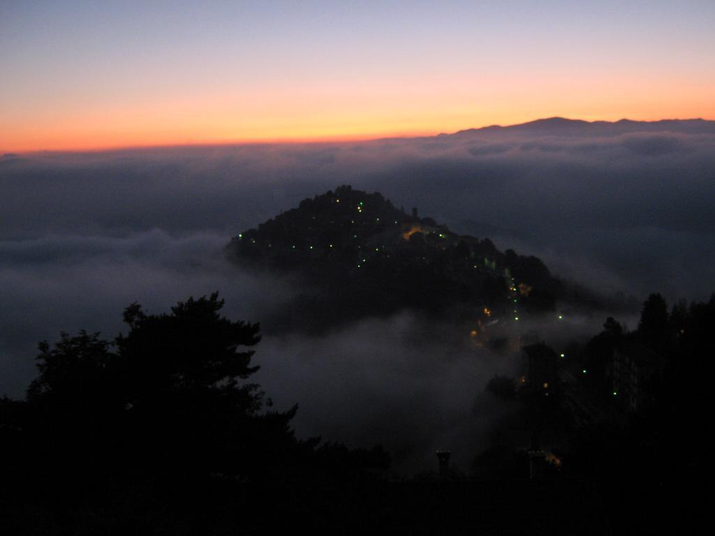 B&B Le Camelie Del Bosco Baiardo Dış mekan fotoğraf