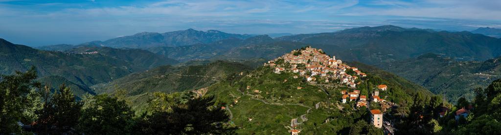 B&B Le Camelie Del Bosco Baiardo Dış mekan fotoğraf