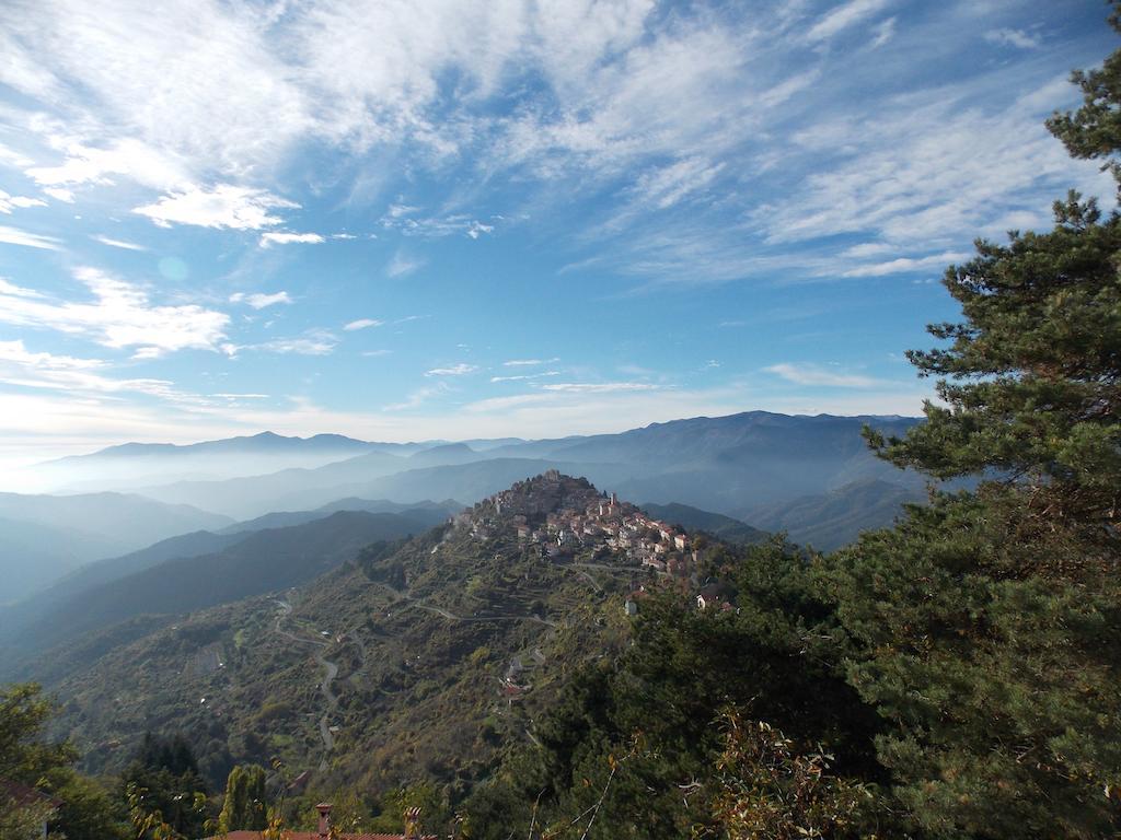 B&B Le Camelie Del Bosco Baiardo Dış mekan fotoğraf