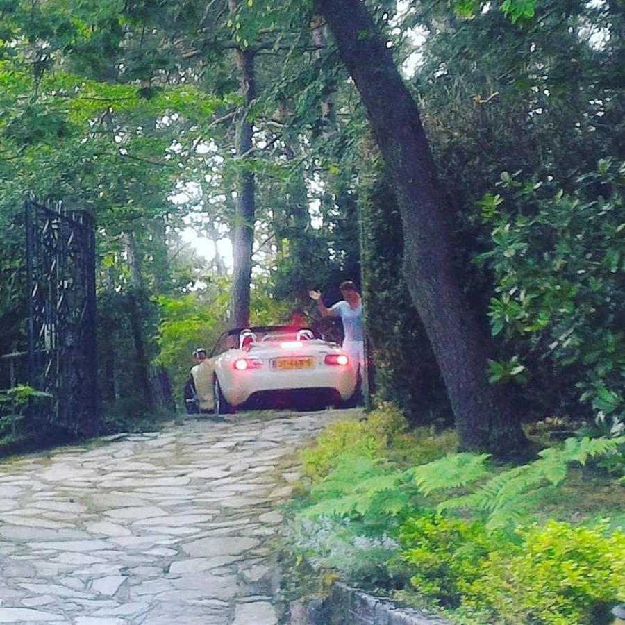 B&B Le Camelie Del Bosco Baiardo Dış mekan fotoğraf