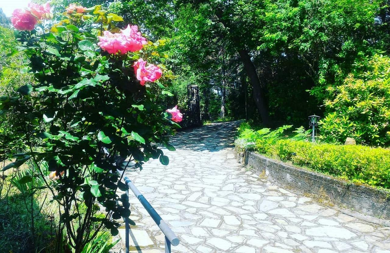 B&B Le Camelie Del Bosco Baiardo Dış mekan fotoğraf