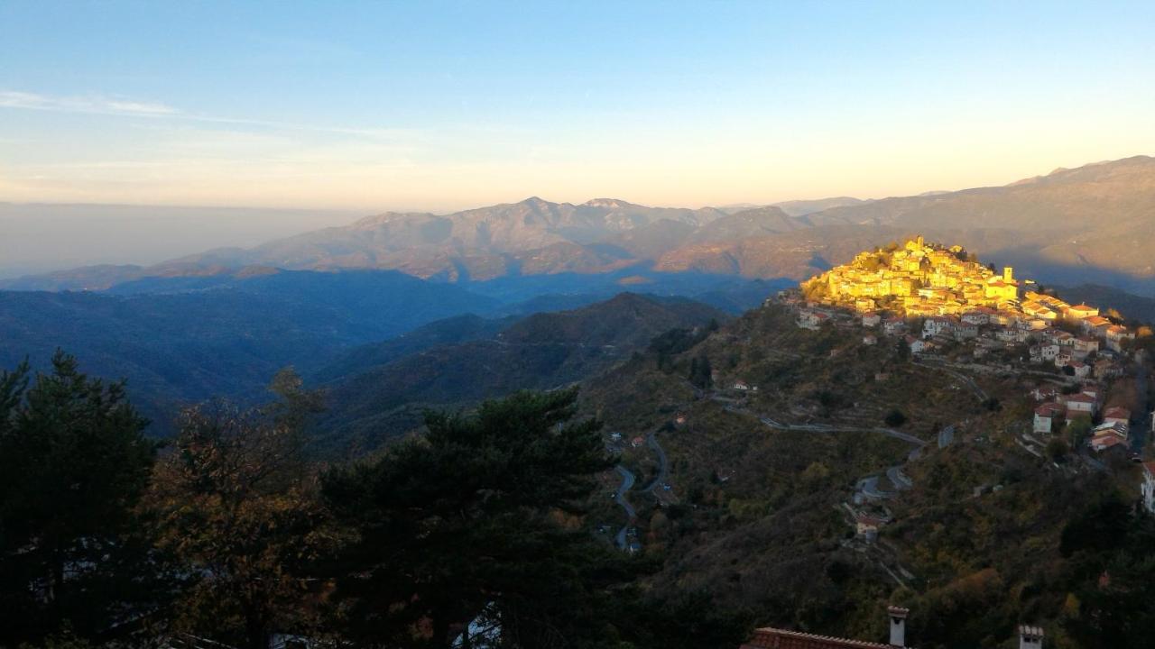 B&B Le Camelie Del Bosco Baiardo Dış mekan fotoğraf