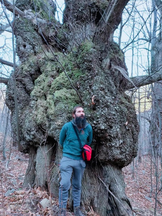 B&B Le Camelie Del Bosco Baiardo Dış mekan fotoğraf